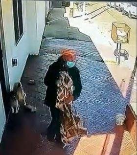 Ni los perros se salvan: del robo de la frazada al pedido de plata por una mascota cautiva