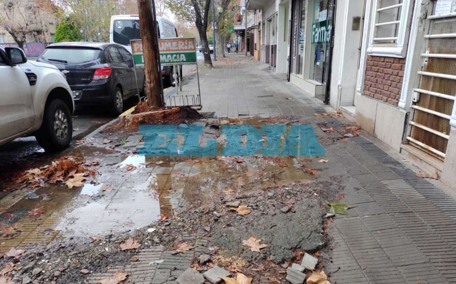 "Desalentador" paisaje en 1, entre 66 y 67: caño roto, agua estancada y vereda destrozada