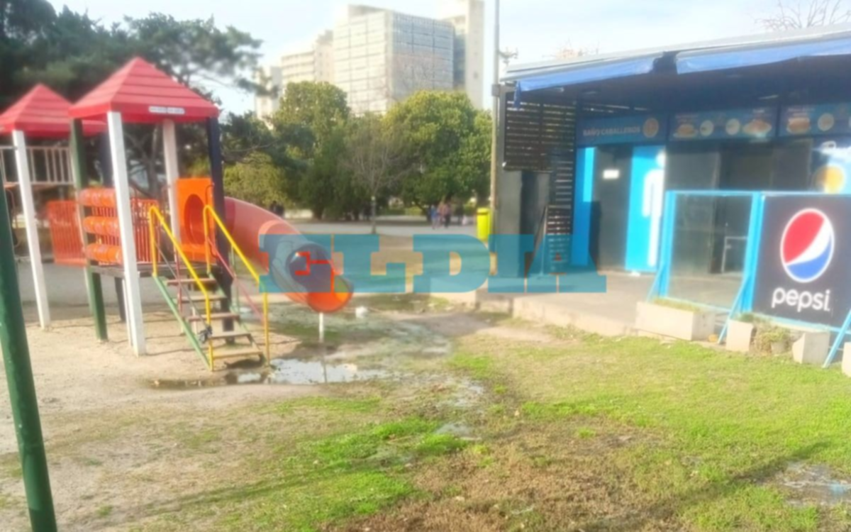 Denuncian la presencia de aguas servidas en Plaza Moreno