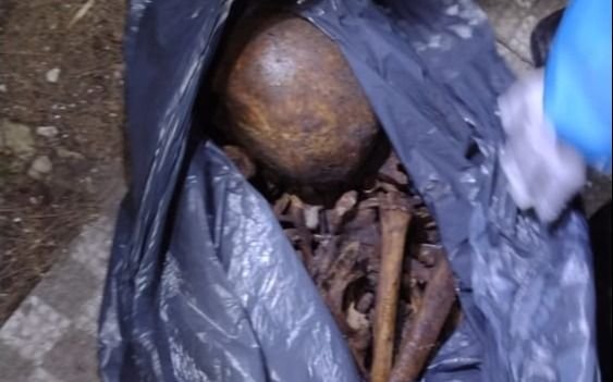 Macabro: robaron huesos humanos del Cementerio de La Plata