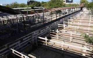 CARBAP y el paro del campo: "Los sectores productivos del país necesitamos reglas claras para trabajar"