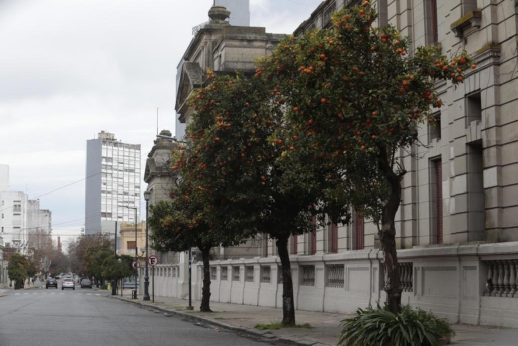 Suman voluntarios: para cosechar la naranja solidaria