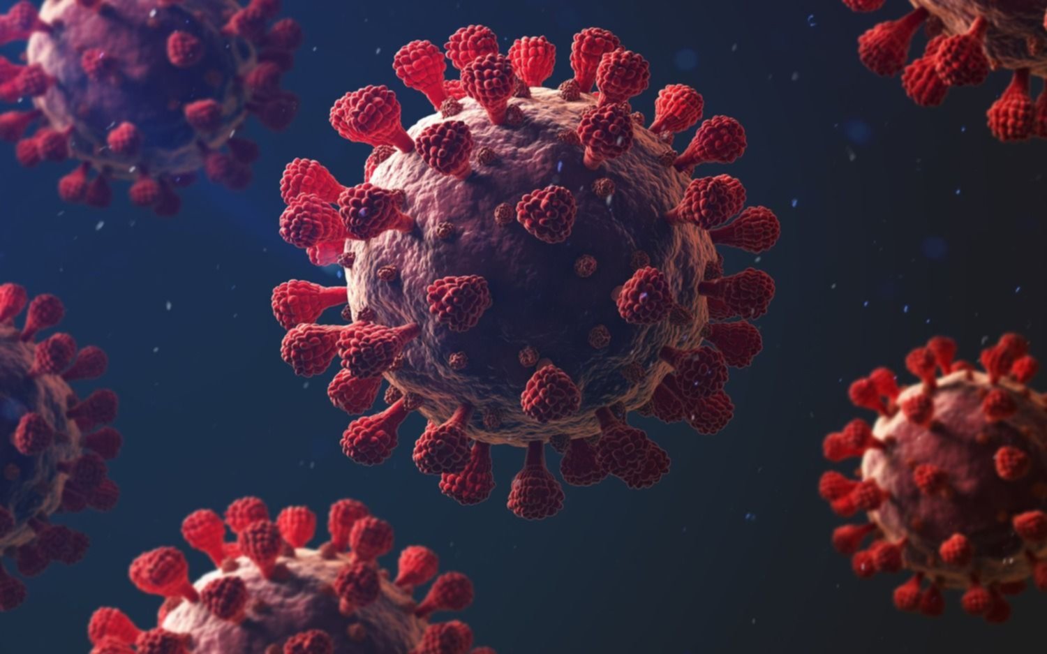 Alerta coronavirus: detectaron una súper variante