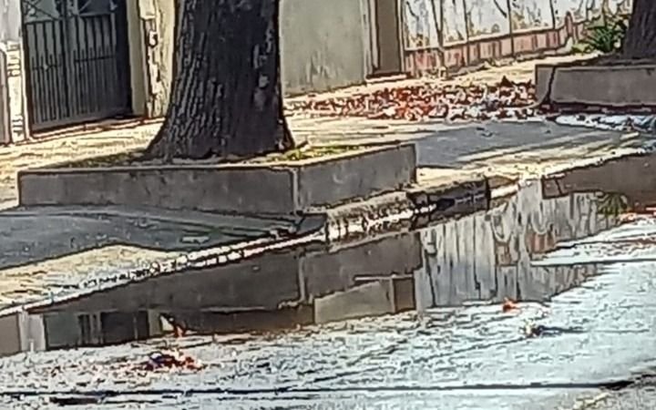 Parque Saavedra: una pérdida de agua que no se solucionó y los vecinos que padecen las consecuencias