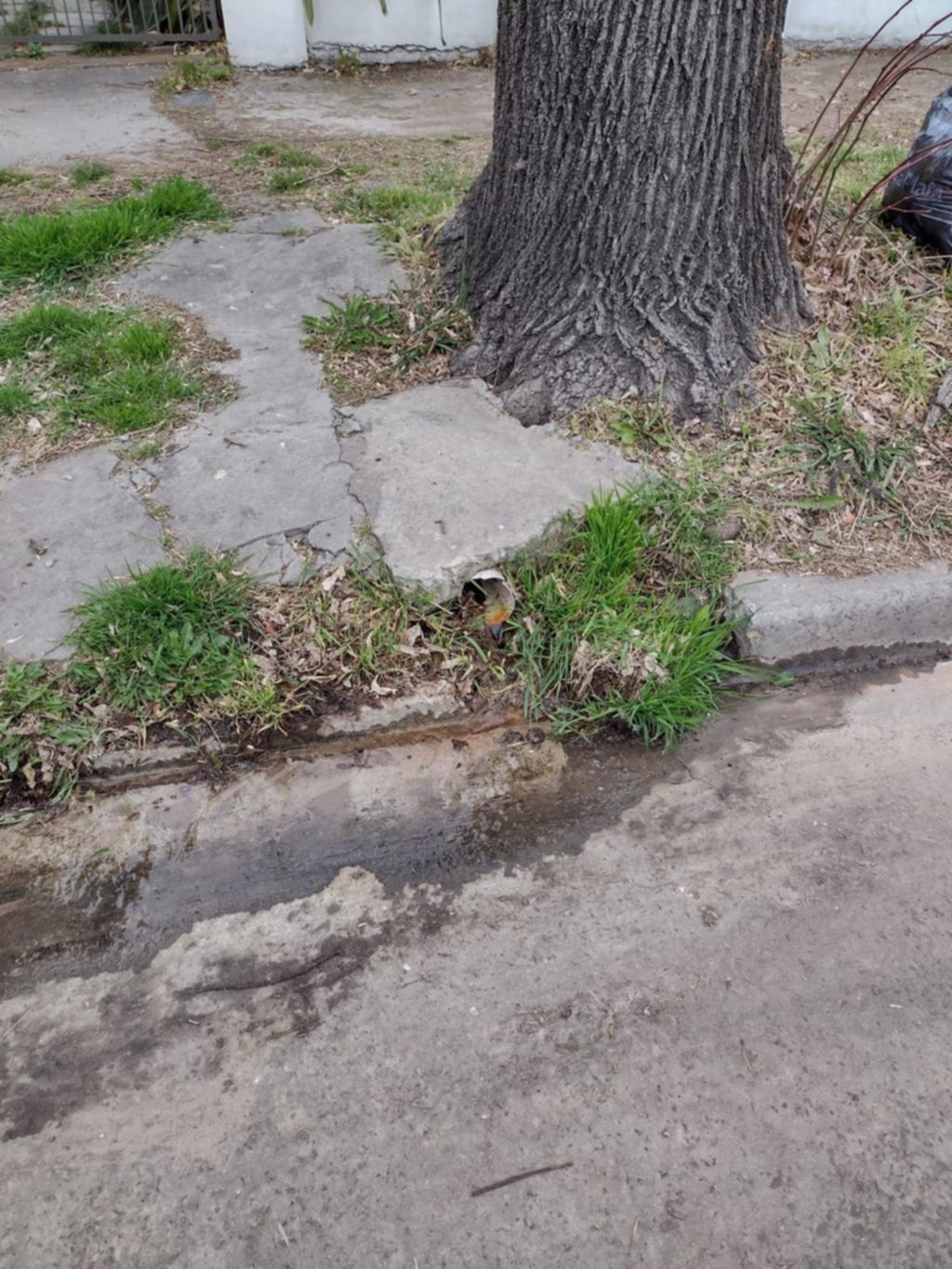 Un desagüe que derrama en forma constante en La Loma
