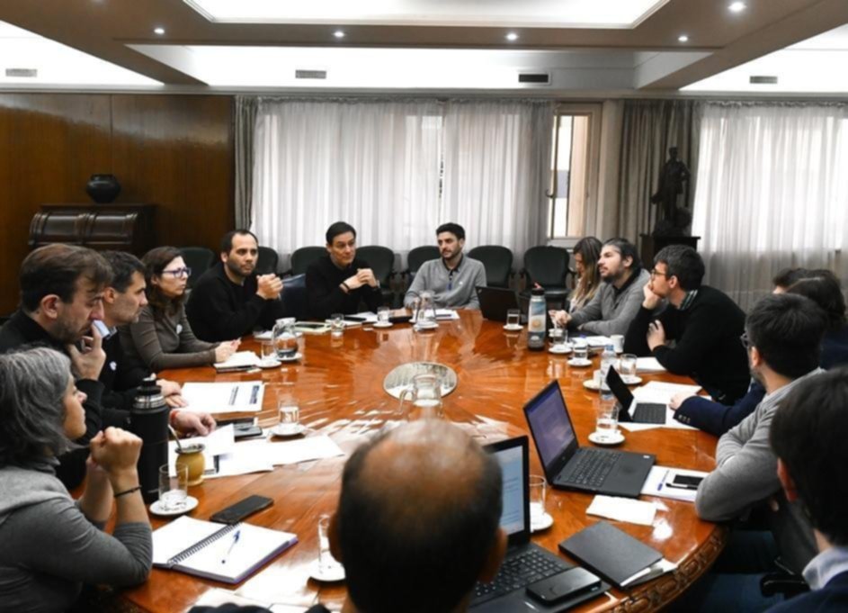 Batakis le presenta su plan al Presidente