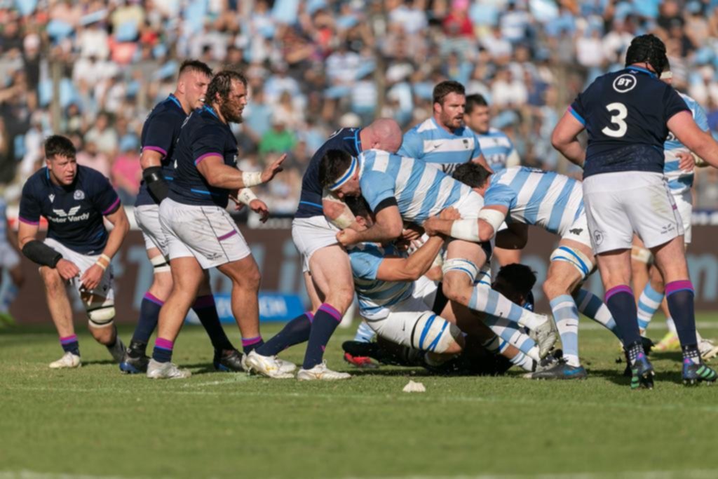 Los Pumas, esta vez, dejaron una pálida imagen