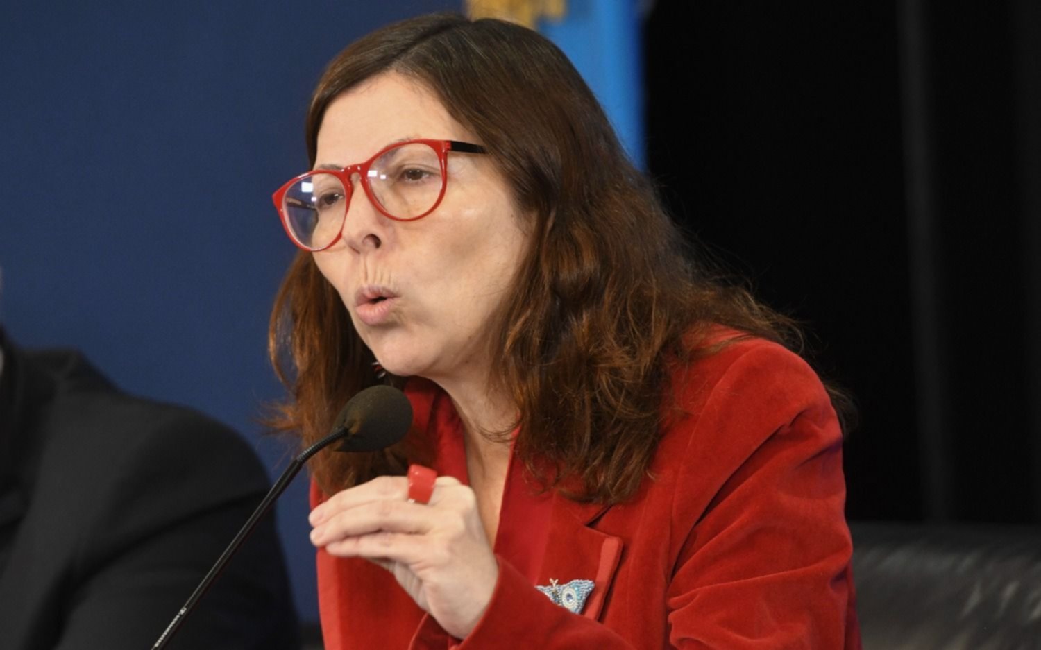 Una por una, las medidas anunciadas por Batakis