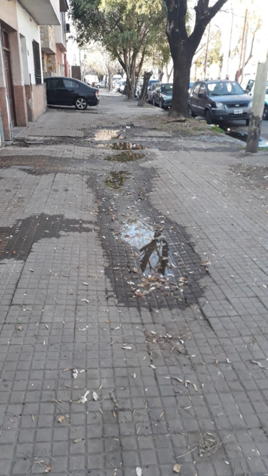 Quejas en distintas zonas por la escasez de agua