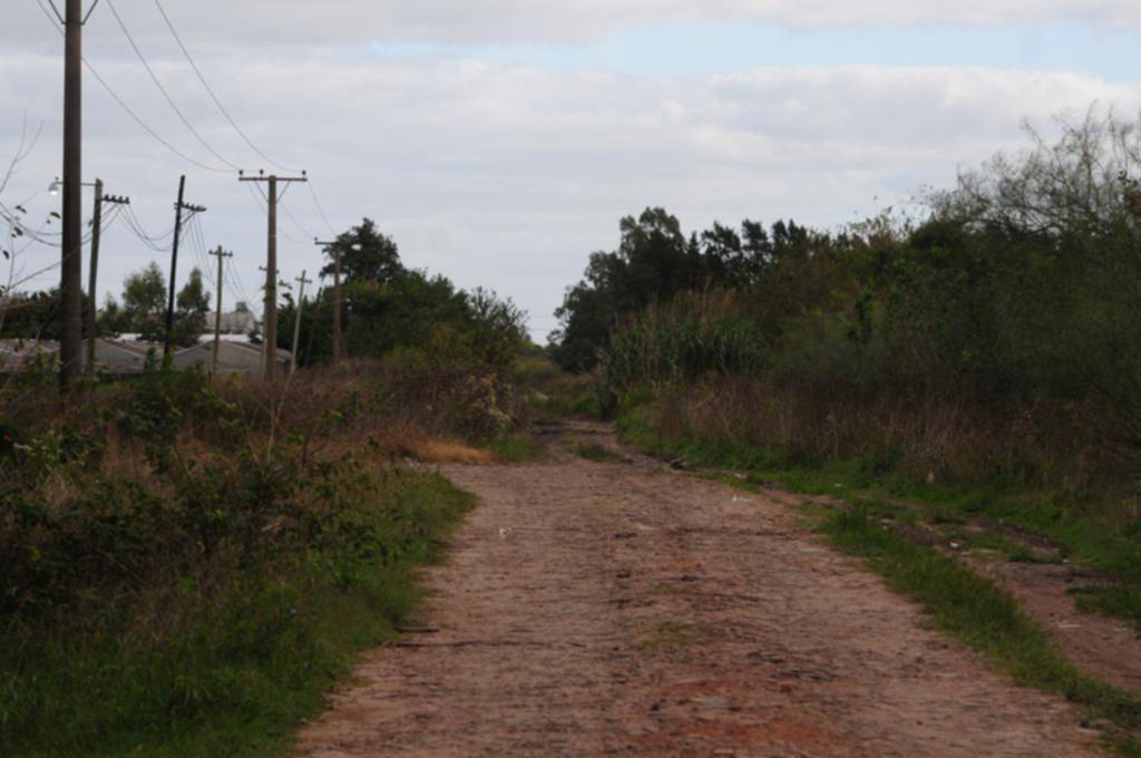 Tiraron abajo la puerta y le desvalijaron la casa