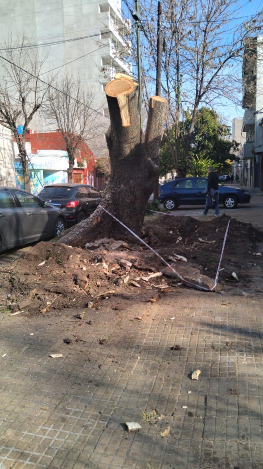 Un nuevo round en la controversia por la poda