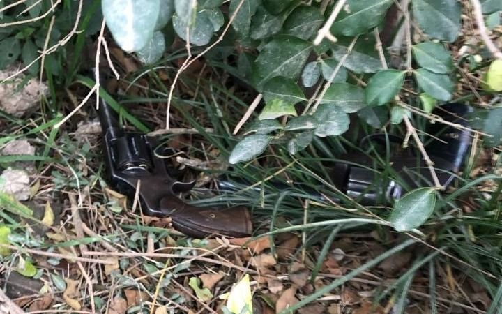Robo frustrado: una perra ladró y ahuyentó a ladrones que querían entrar en una panadería en Arturo Seguí