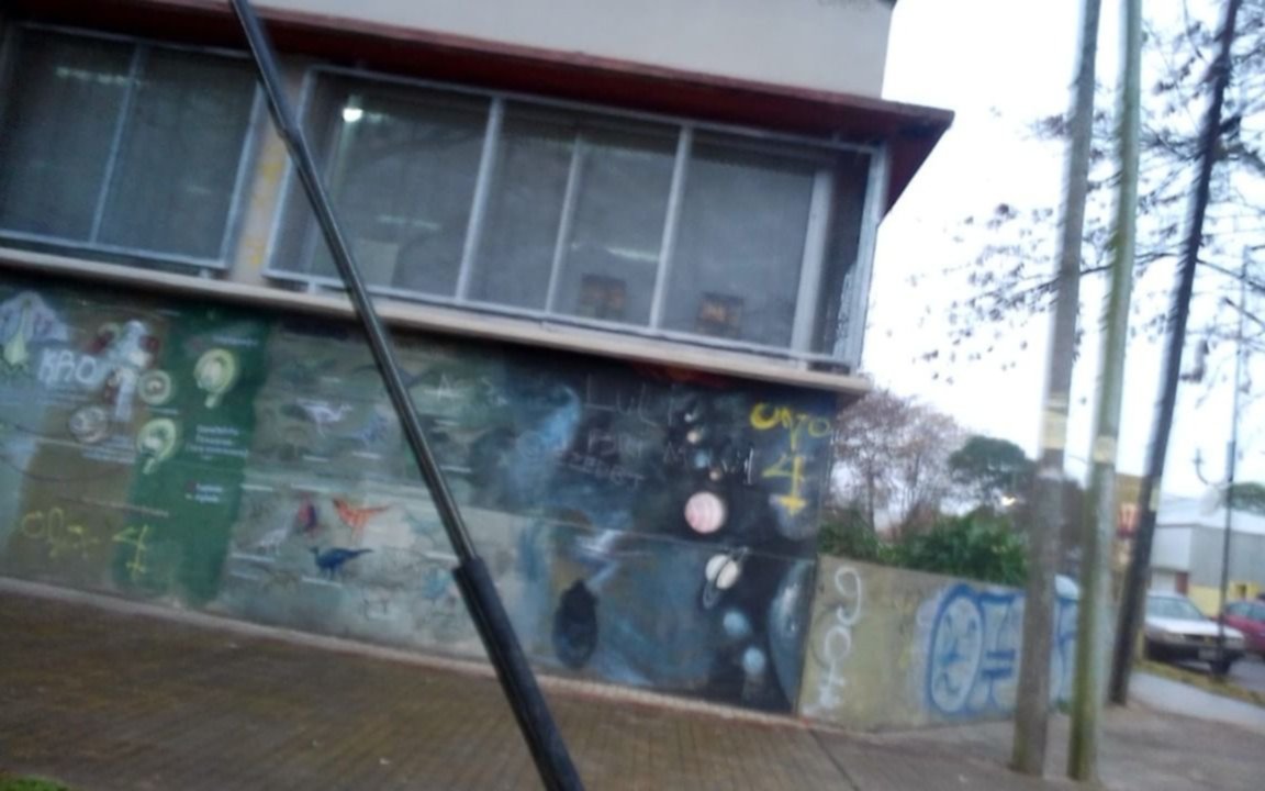 Los ladrones no se toman vacaciones: robo, destrozos y angustia en la escuela 17 de La Plata