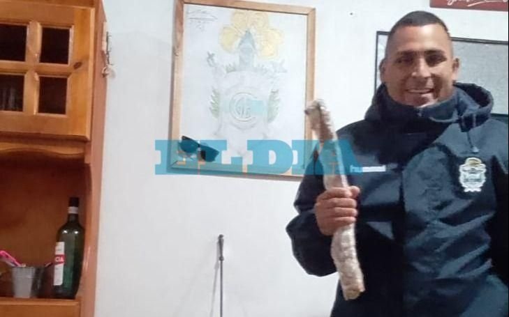 Un platense encontró restos fósiles mientras trabajaba en el fondo de una casa