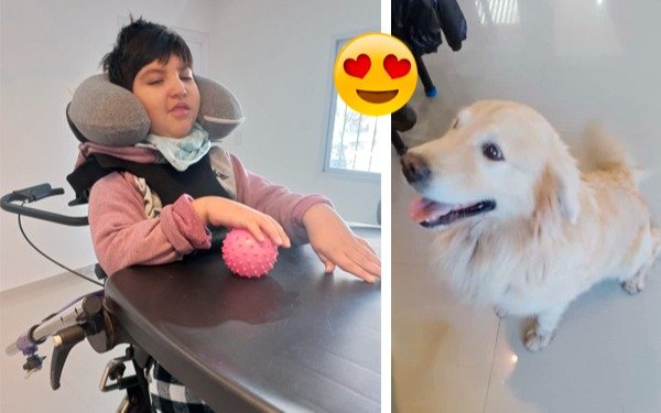 Cuando Bastian más lo necesitaba, apareció su perrito tras estar varios días extraviado