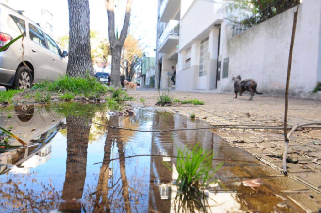 Agua: las pérdidas ya son parte del paisaje urbano