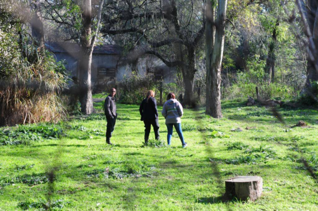 Se llevaron una mona y ya van tres robos de animales en el Bioparque