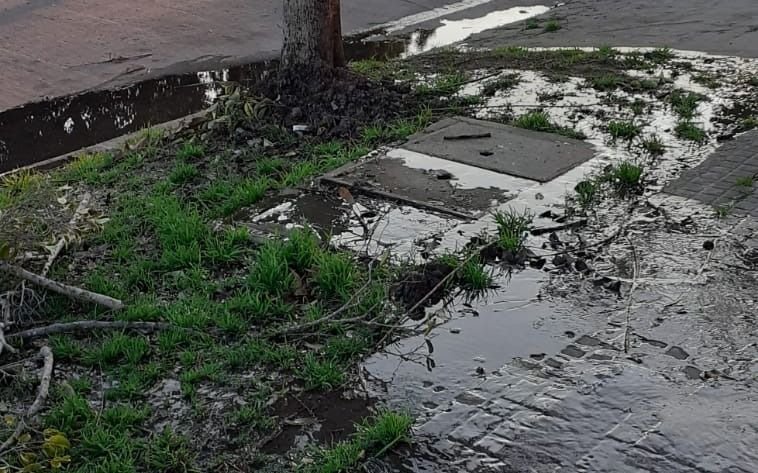 Barrios platenses reclaman por pérdidas de agua: "Se hicieron varias denuncias y nunca vienen"