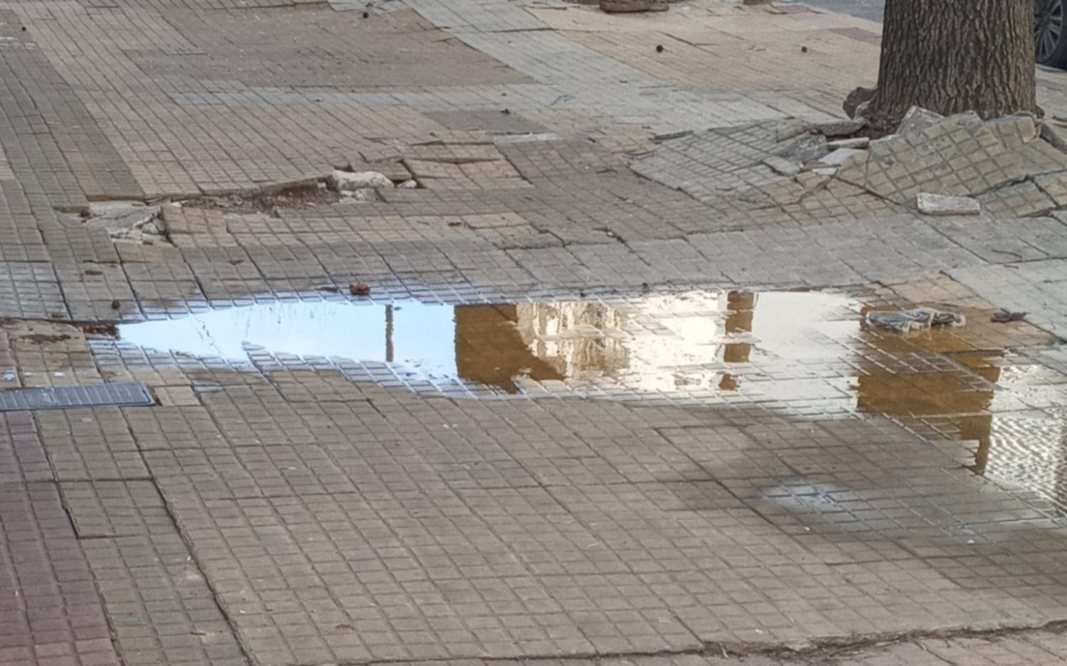 Plaza Malvinas de aniversario: pérdida de agua cumplió un mes sin arreglo