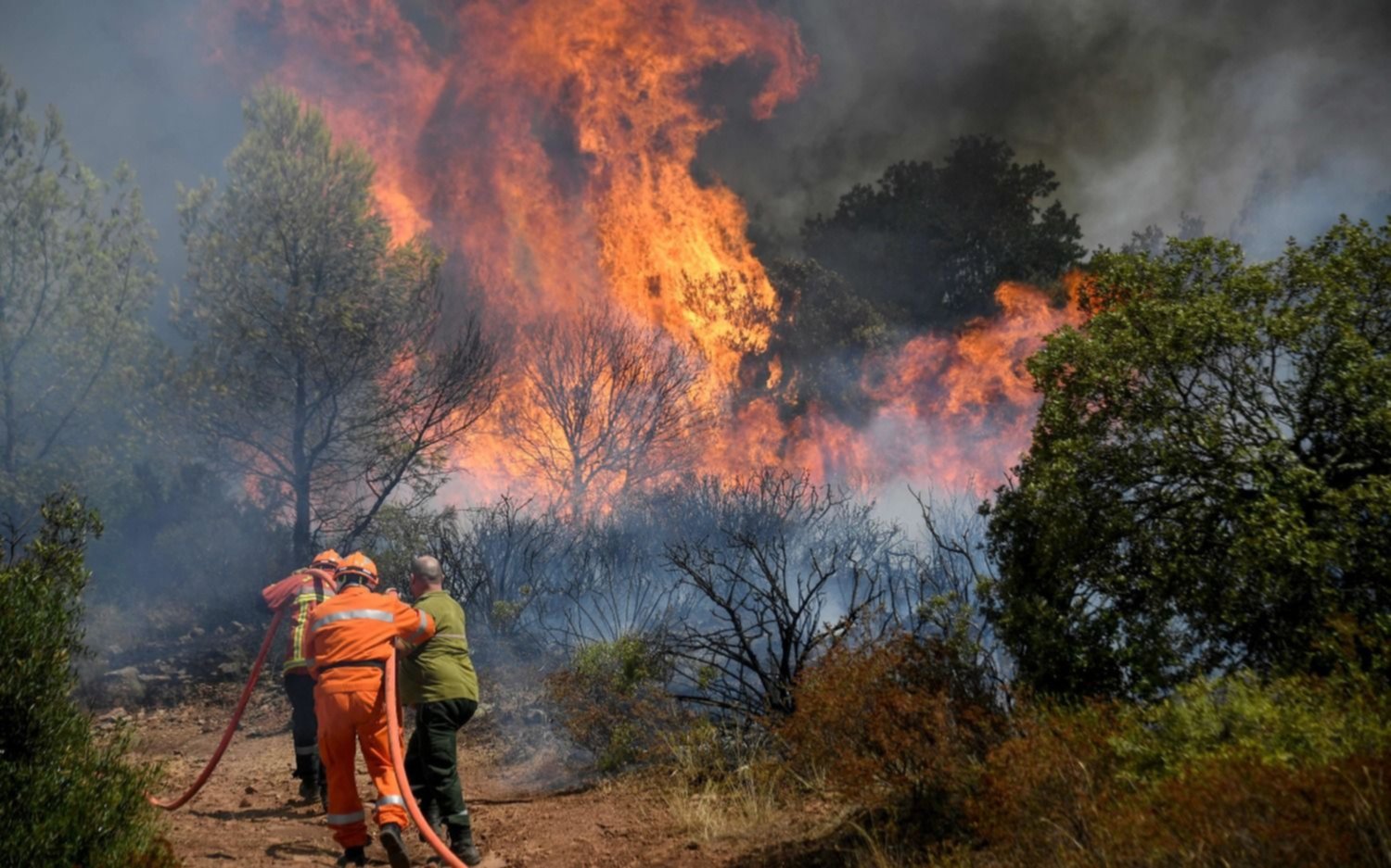 Francia en llamas: los incendios al sureste no dan tregua 