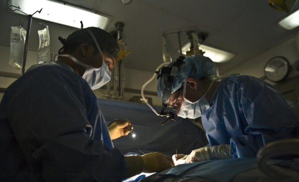 Organ Donation Levels Recover to Pre-Pandemic Levels: Over 1,500 Transplants Performed