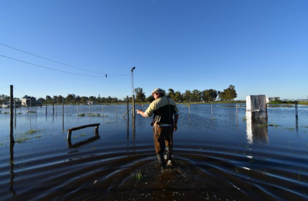 Alerta por inundaciones: la expansión de la agricultura