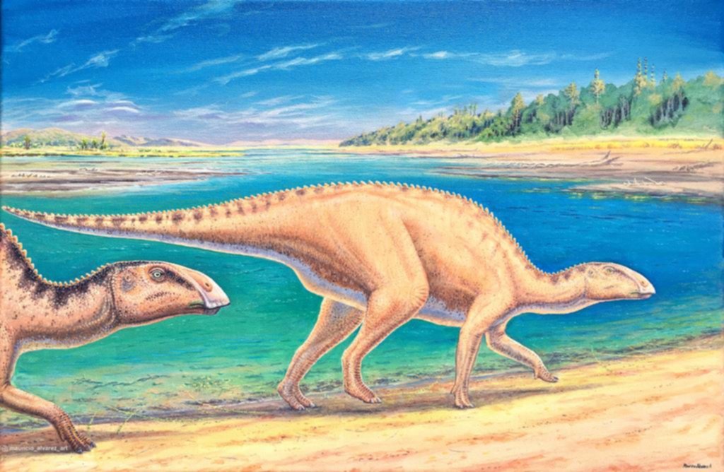 Hallan restos de un dinosaurio pico de pato que deambulaba por Chile hace 72 millones de años