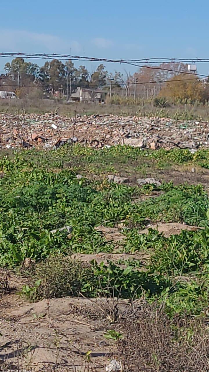Queja por vuelco de residuos en un terreno de 20 y 517 bis