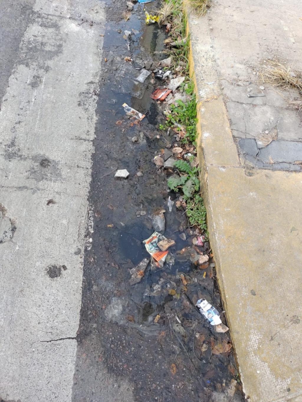 Agua estancada en la zona de 6 y 45