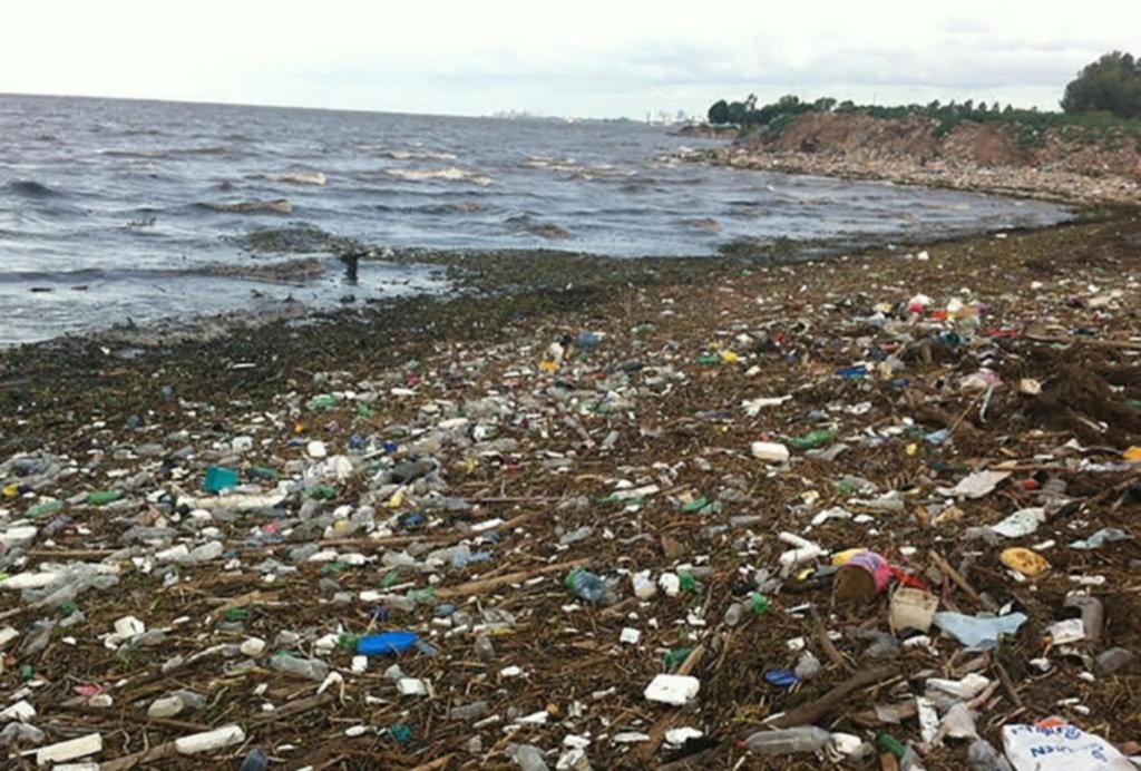 Bolsas plásticas: el 90% de la basura en la ribera
