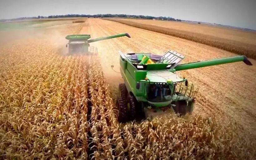 Campaña gruesa: se espera que "El Niño" traiga lluvias fuertes, un alivio para la feroz sequía