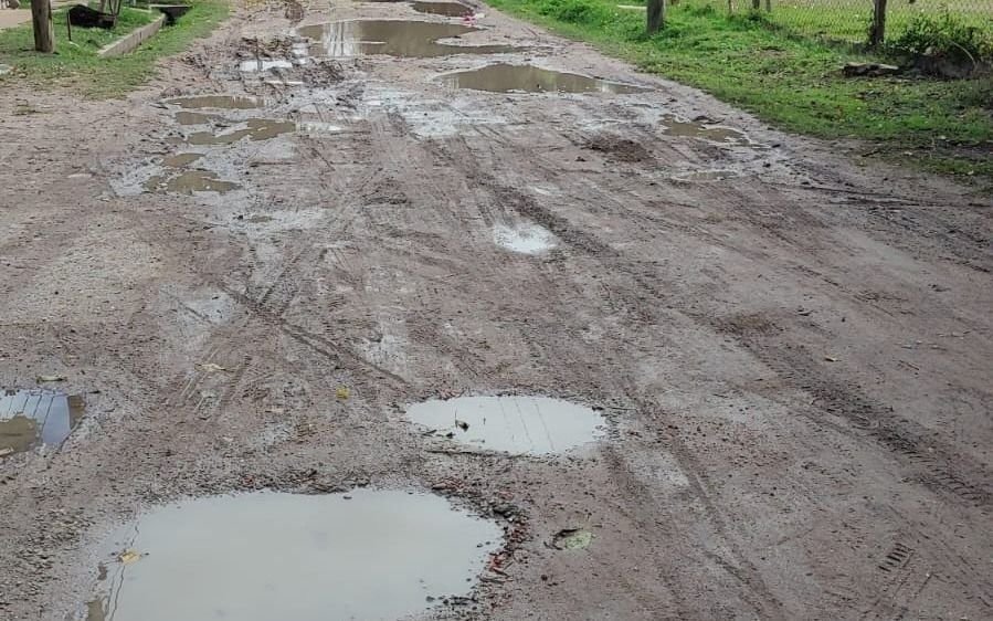 "Colección de baches": en Berisso retomaron el reclamo por una calle en pésimo estado