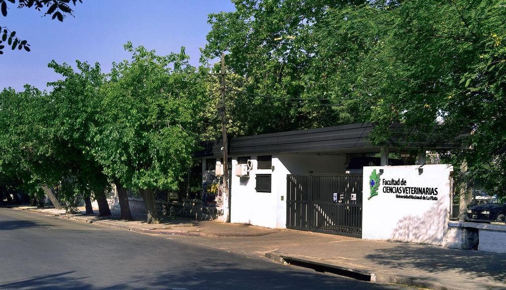¿Mala praxis veterinaria en La Plata? Dejó a su gata para castrar, la fue a buscar y se la devolvieron muerta: investigan