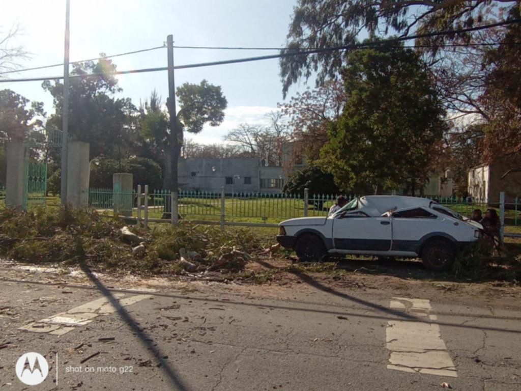 Rescatan a un joven en Berisso al caer un árbol sobre un auto estacionado