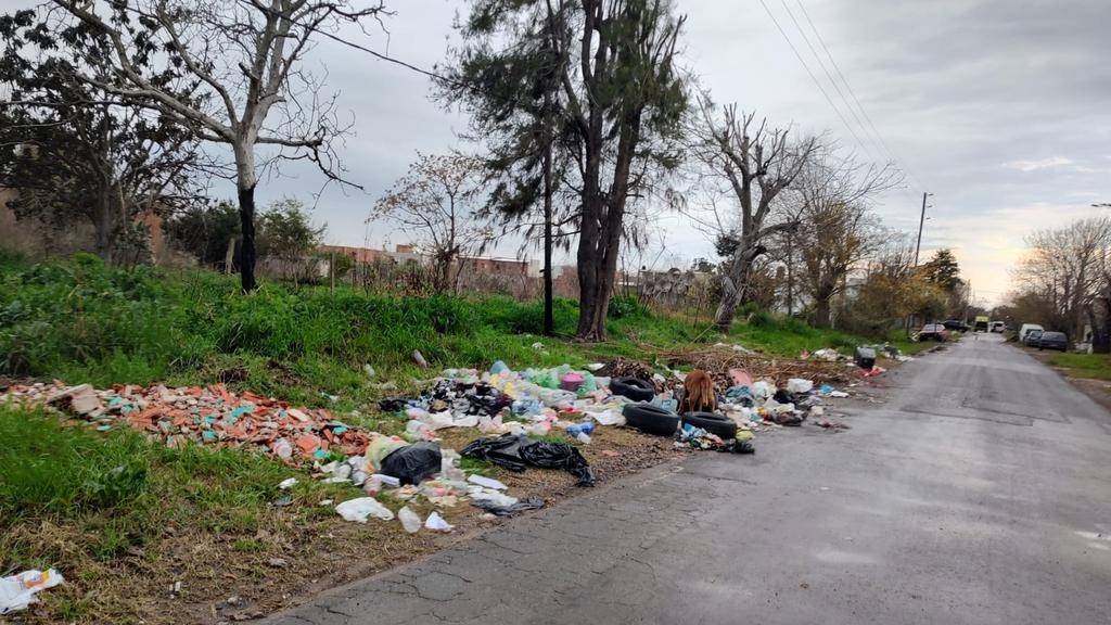 Un “basural a cielo abierto” en San Carlos