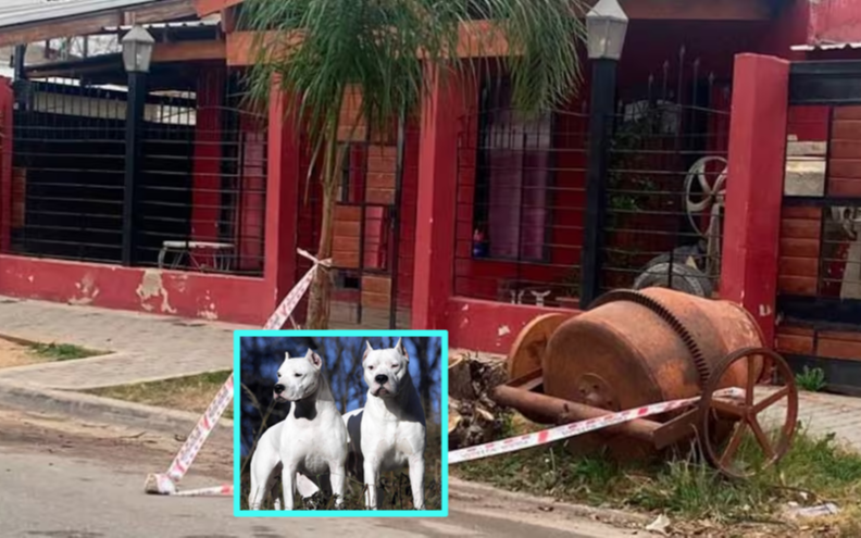 Córdoba: dos dogos se escaparon, mataron a una joven de 15 años e hirieron vecinos