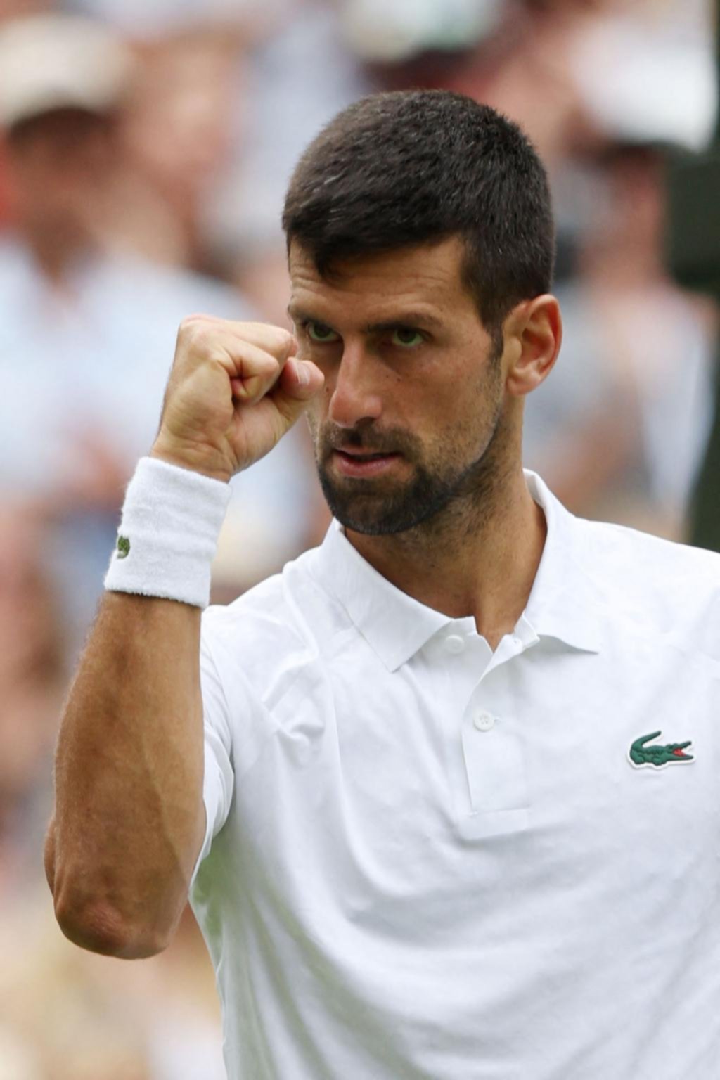 Djokovic y Alcaraz avanzaron a los cuartos de final de Wimbledon