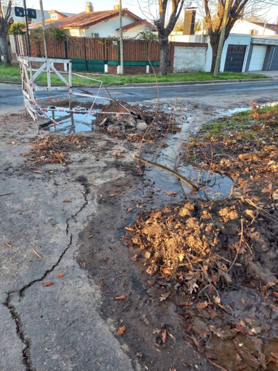 Denuncia por agua que brota de la calle en 15 y 78