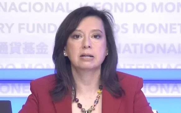 FMI: "Trabajamos intensivamente con Argentina para ayudarlos a enfrentar una situación muy compleja"