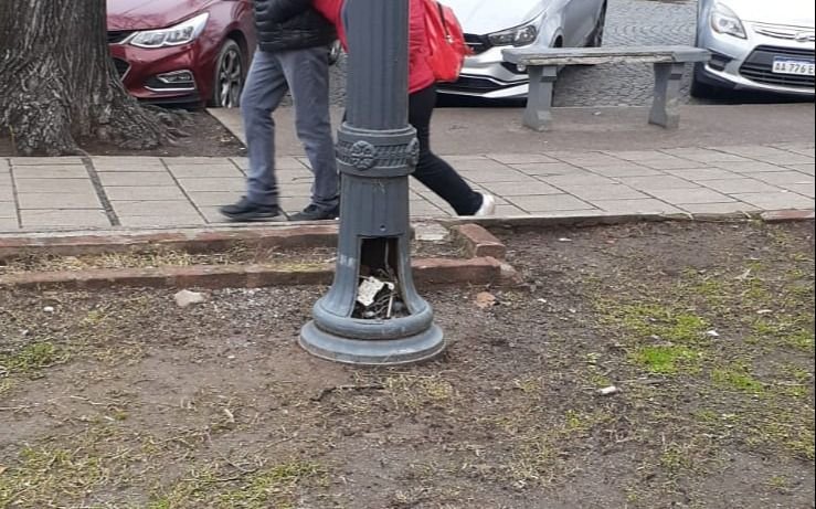Denuncia por luminarias con los cables sueltos en Plaza Italia: "Le dio corriente a mi perro"
