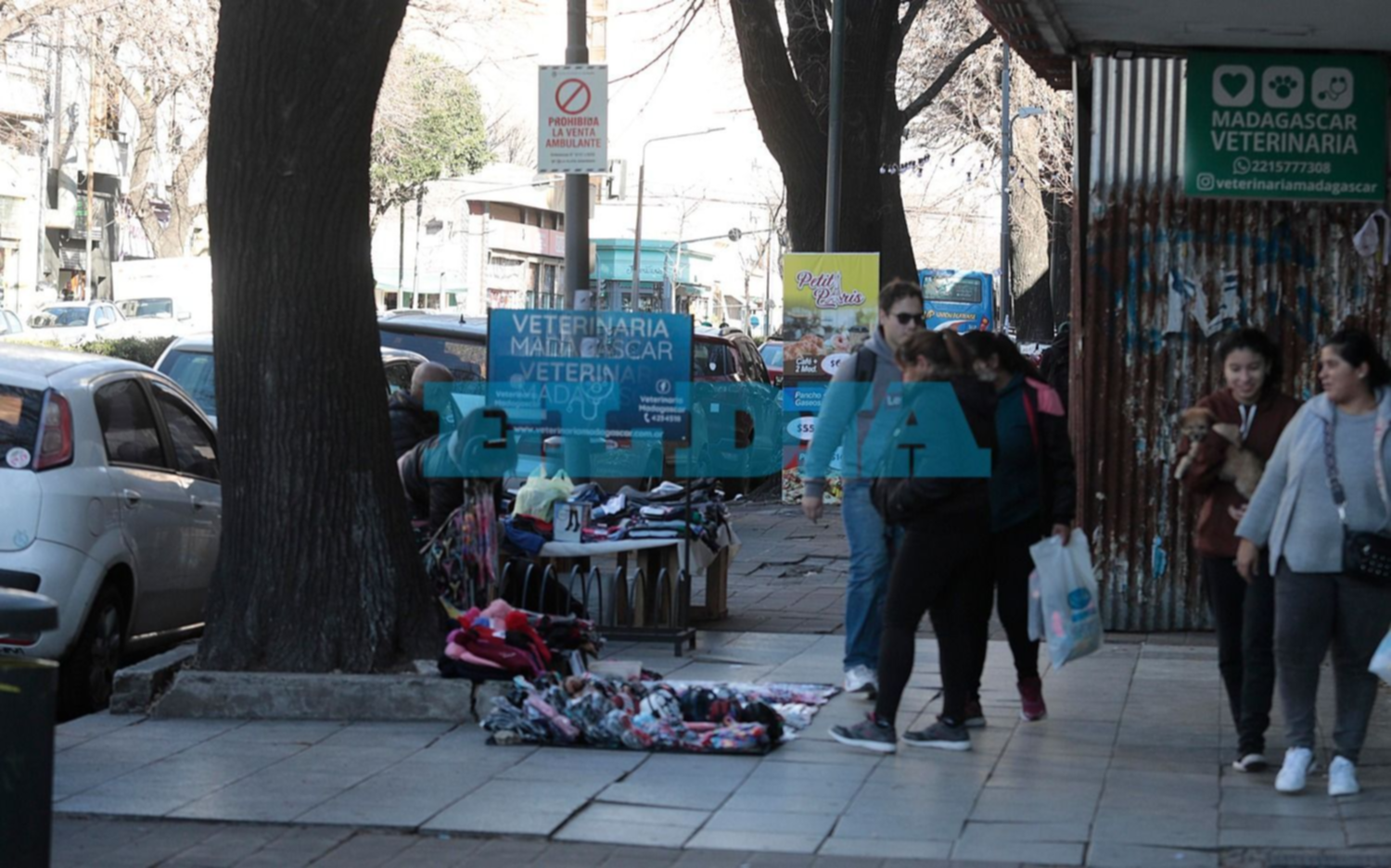 El frío se instaló: así seguirá el clima en La Plata