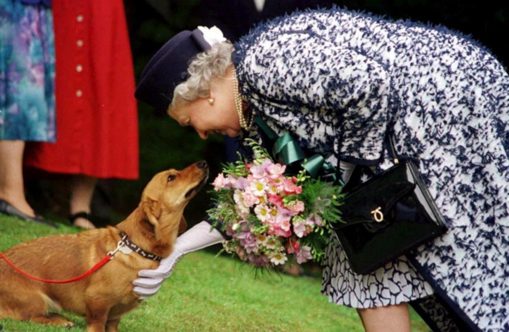 Los perros de Isabel II no pasean y están enojados