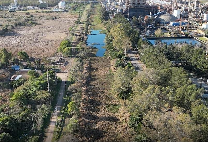 Reclaman por camalotes que tapan un canal en YPF