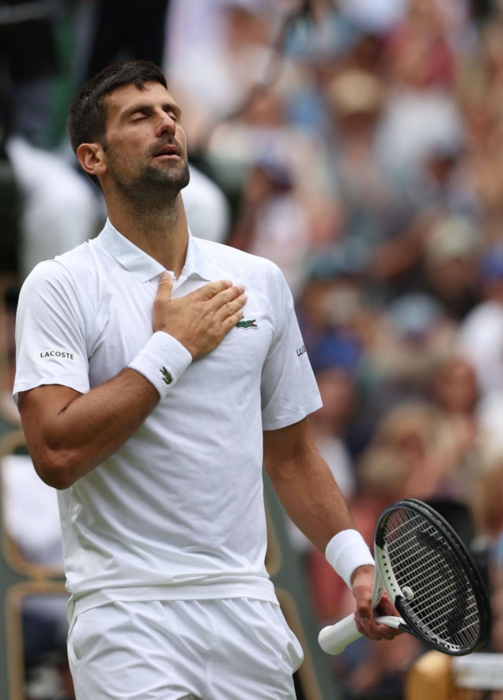 Djokovic y Alcaraz buscan la final en Wimbledon