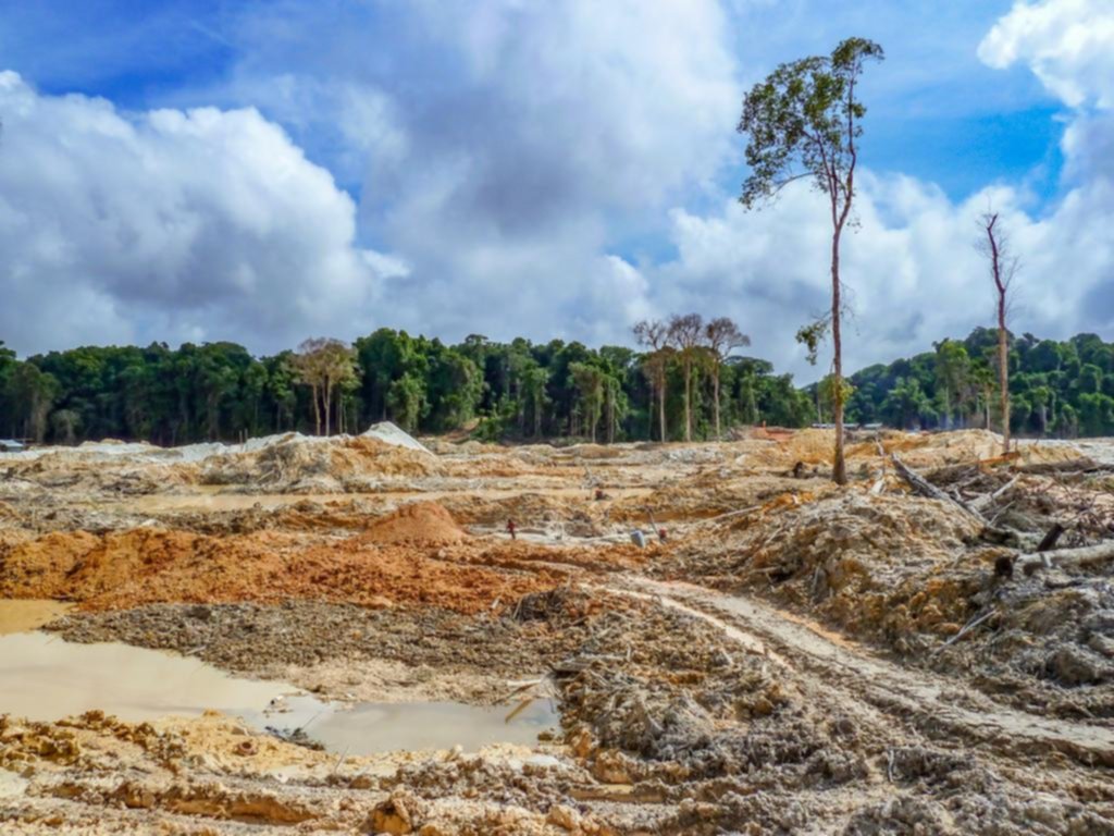 Por el calentamiento: aumentarían las enfermedades