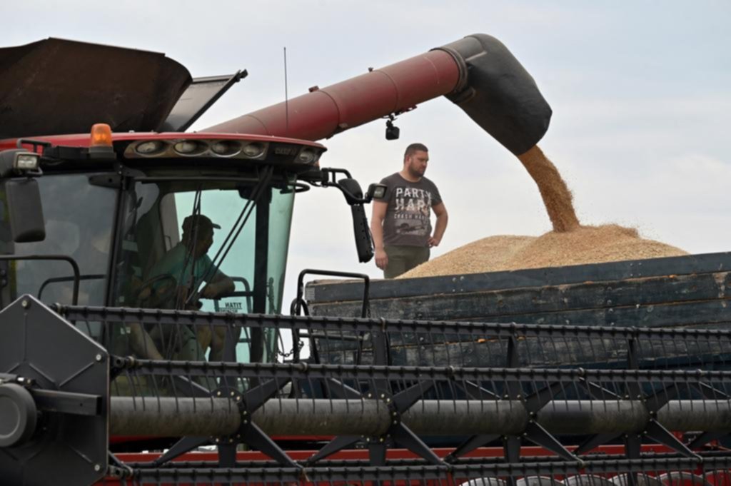 El desconsuelo de los agricultores ucranianos