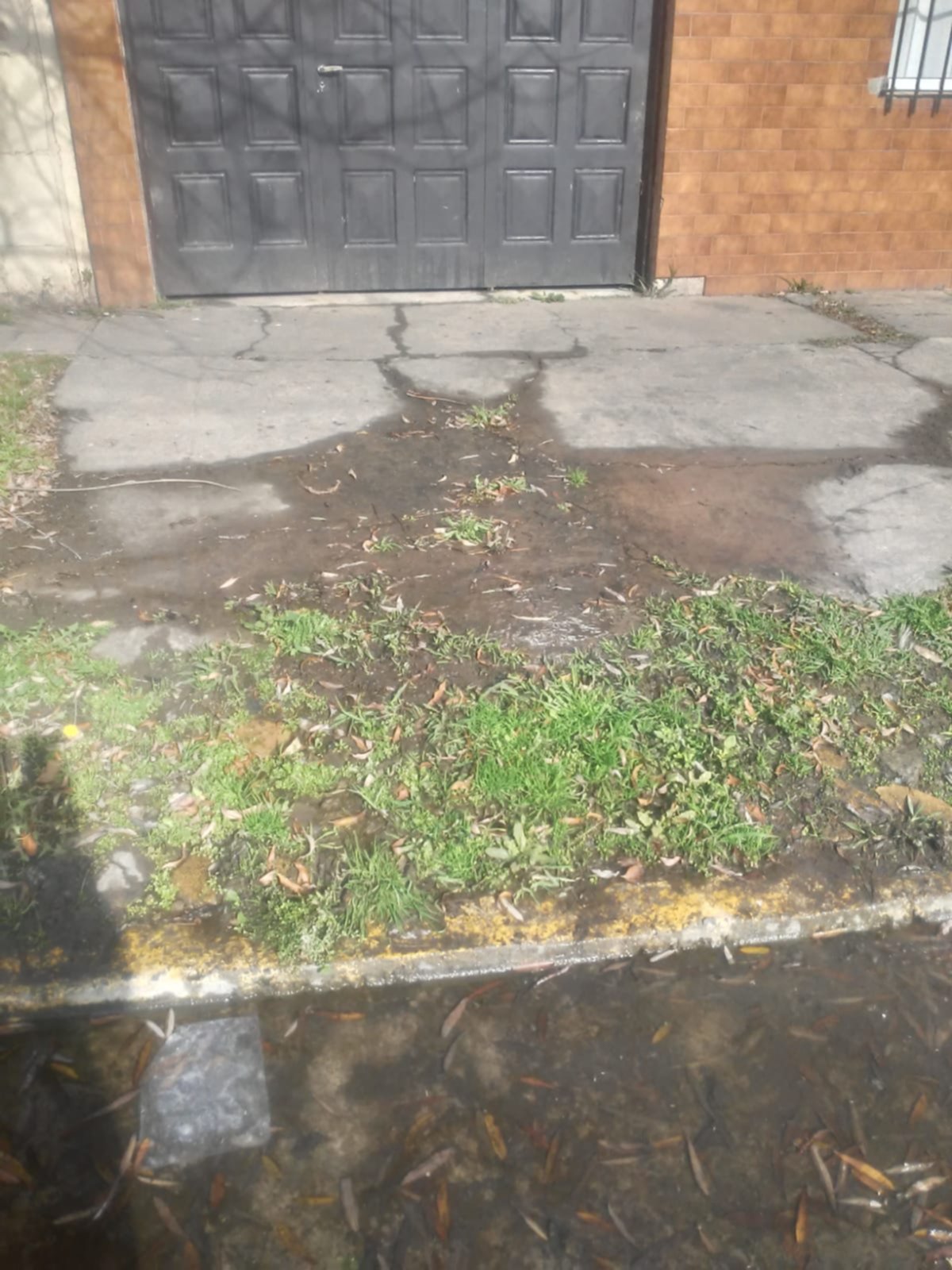 Otro "río" en Ensenada, pero con origen en una pérdida de ABSA