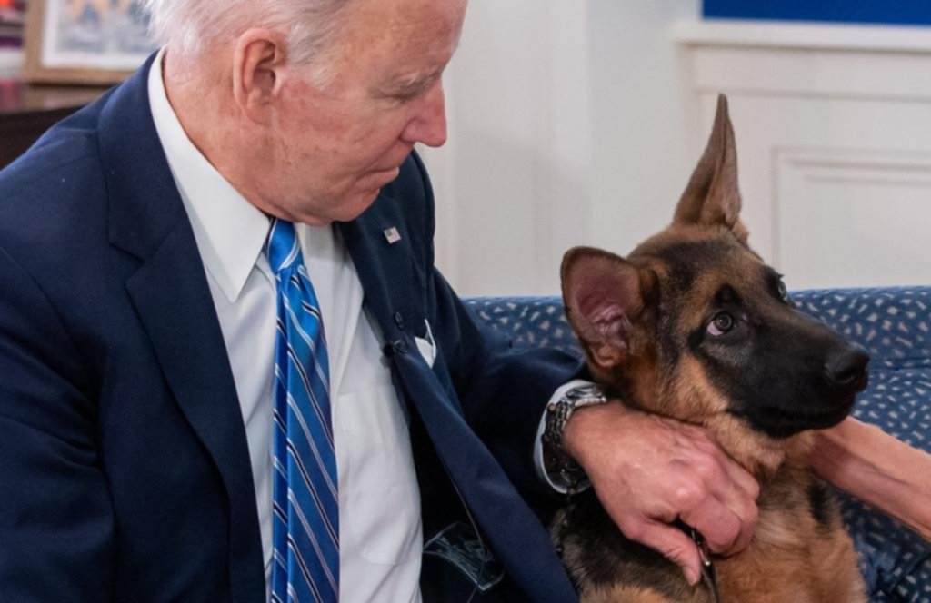 El perro de Biden mordió a varios agentes secretos