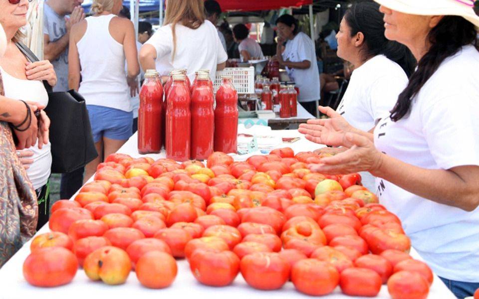 El alerta fitosanitaria por el virus rugoso en tomates de La Plata: lanzan los recaudos que se deben tener