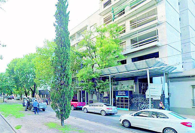 Alquiló su departamento en La Plata y se lo devolvieron vacío